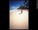 Family vacation slideshows